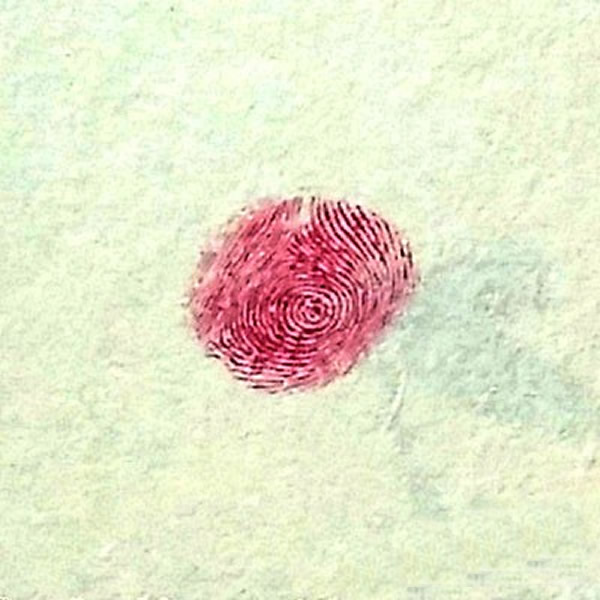 樱桃指印画步骤教程 手指画图片简单幼儿园