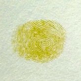 幼儿园手指印画母鸡教案