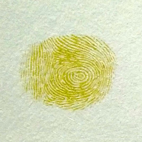幼儿园手指印画母鸡教案 幼儿手指画作品