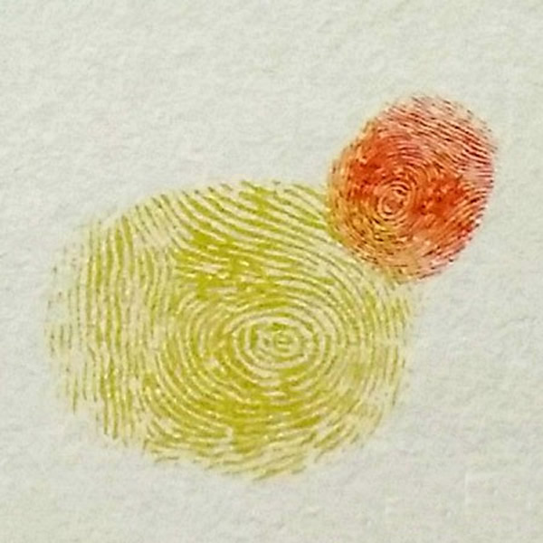幼儿园手指印画母鸡教案 幼儿手指画作品