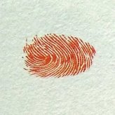 鸭子指印画教程