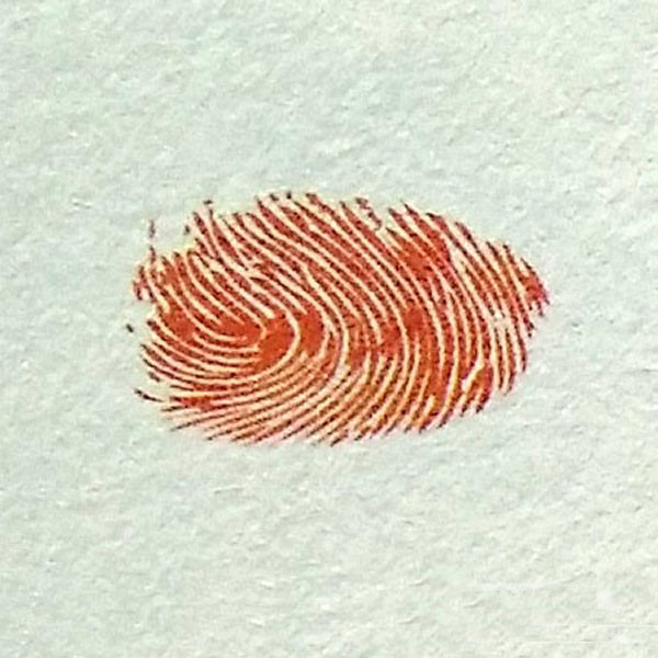 鸭子指印画教程 小动物指印画/手指画图片