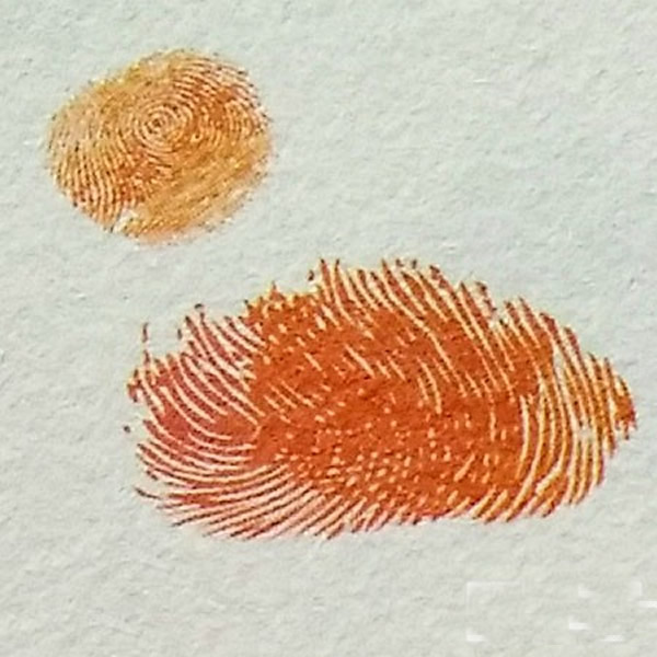 鸭子指印画教程 小动物指印画/手指画图片