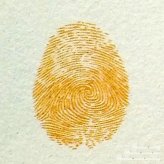 小班手指印画小鸡教案