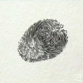 乌鸦指印画教程
