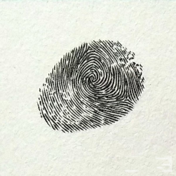 乌鸦指印画教程 颜料小动物手指印画/手指画图片