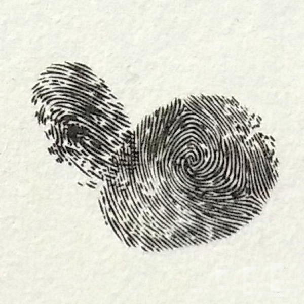 乌鸦指印画教程 颜料小动物手指印画/手指画图片