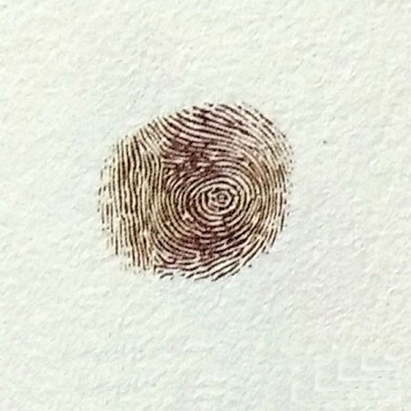 蝙蝠手指印画教程步骤/手指画图片