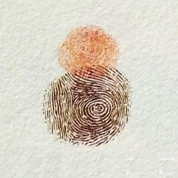 蝙蝠手指印画教程步骤/手指画图片