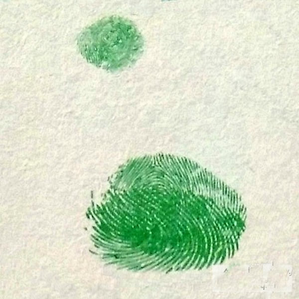 天鹅指印画教程 天鹅儿童画简单的画法/手指画图片