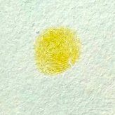 小鸭子指印画教程