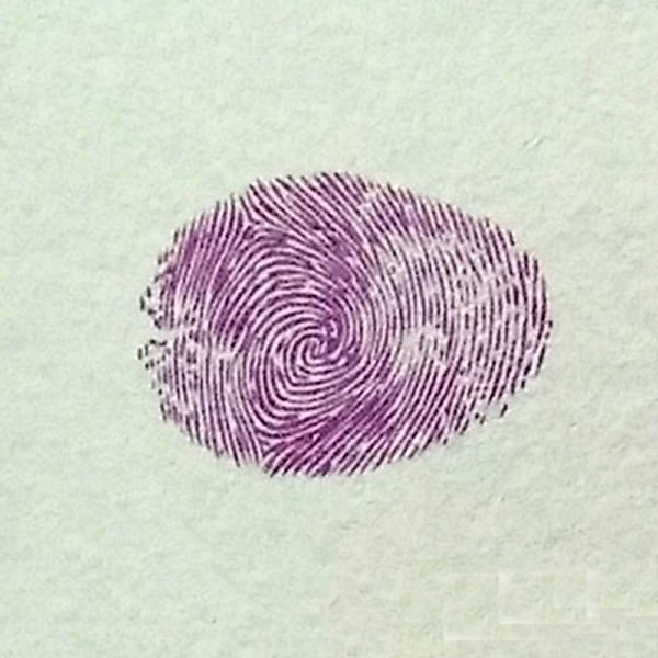 鸳鸯指印画教程 小班美术手指印画教案/手指画图片