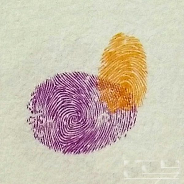 鸳鸯指印画教程 小班美术手指印画教案/手指画图片