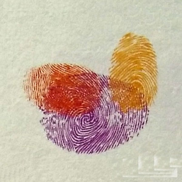 鸳鸯指印画教程 小班美术手指印画教案/手指画图片
