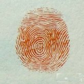 瓢虫指印画教程