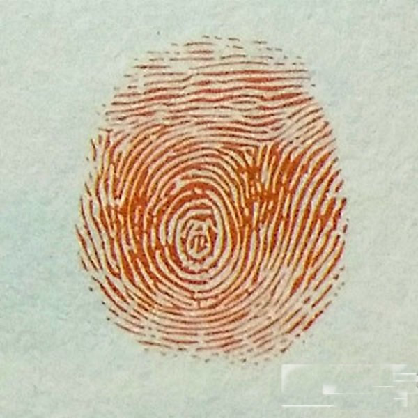 瓢虫指印画教程 瓢虫简笔画怎么画图解/手指画图片