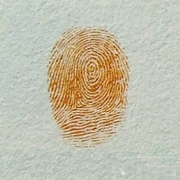 蝉指印画教程 简笔蝉怎么画的图片教程/手指画图片