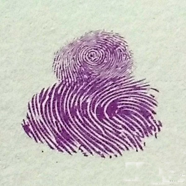 蜘蛛指印画教程 可爱的蜘蛛图片简笔画/手指画图片
