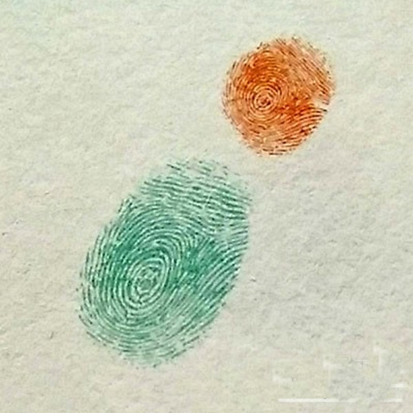 鸽子指印画教程 怎么画鸽子好看又简单/手指画图片