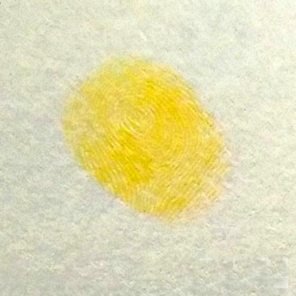 蜜蜂指印画教程 儿童画勤劳的小蜜蜂/手指画图片