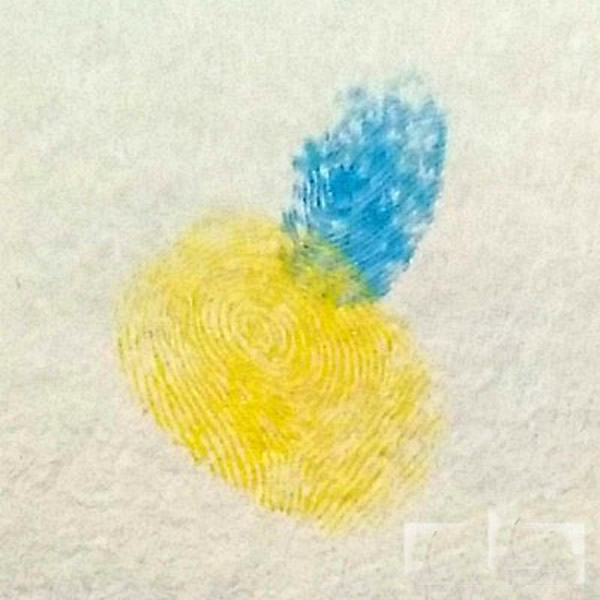 蜜蜂指印画教程 儿童画勤劳的小蜜蜂/手指画图片