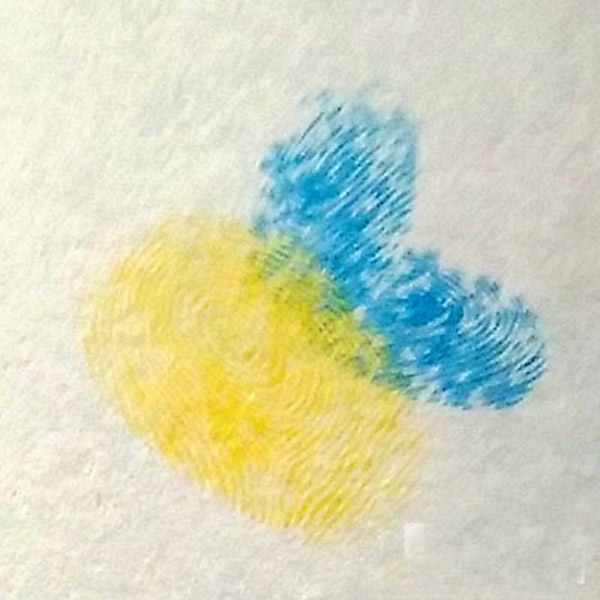 蜜蜂指印画教程 儿童画勤劳的小蜜蜂/手指画图片