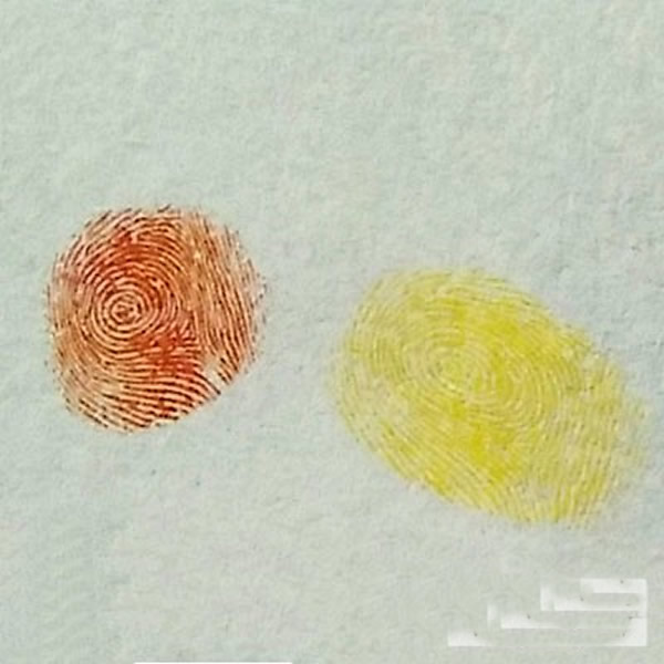手指印画 蜜蜂 儿童画小蜜蜂教案/手指画图片