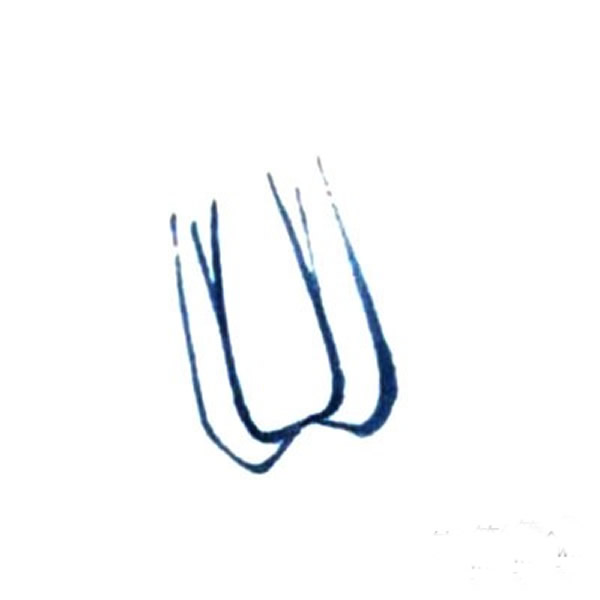 国画白菜的画法步骤 儿童国画入门教程