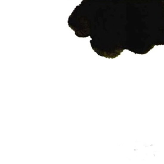 水墨葡萄的画法步骤 儿童画水墨葡萄作品