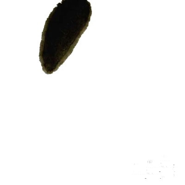 国画荔枝的画法步骤 荔枝儿童画简单