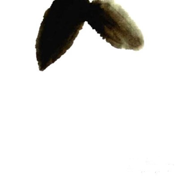 国画荔枝的画法步骤 荔枝儿童画简单