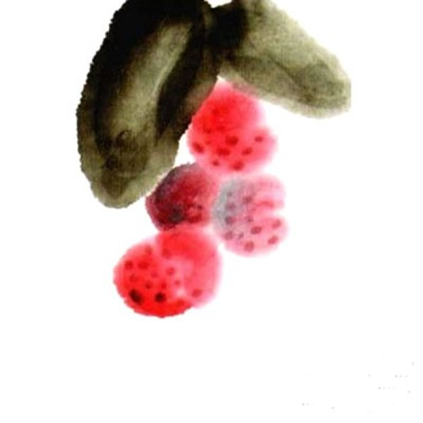 国画荔枝的画法步骤 荔枝儿童画简单