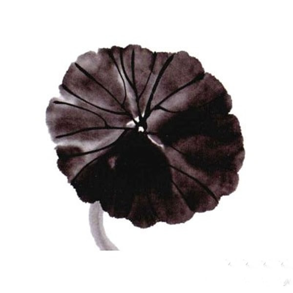 国画荷叶简单画法 儿童画荷叶的画法