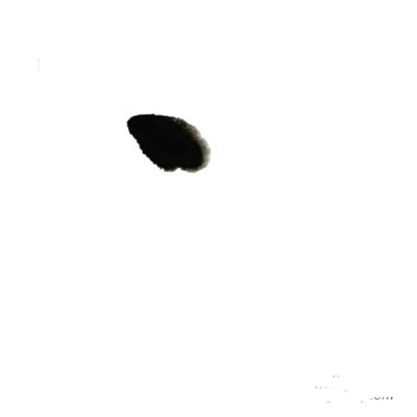 儿童中国画青蛙教程 国画图片简单儿童教程