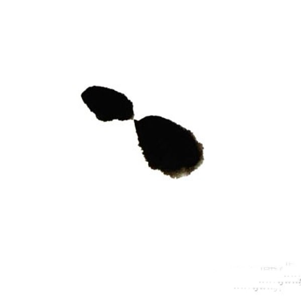 儿童中国画青蛙教程 国画图片简单儿童教程