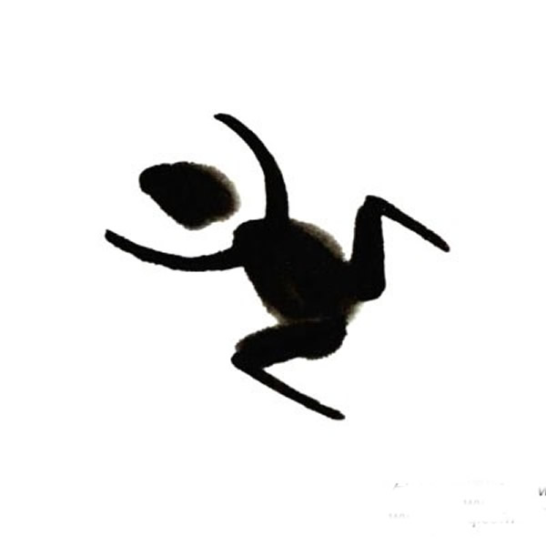 儿童中国画青蛙教程 国画图片简单儿童教程