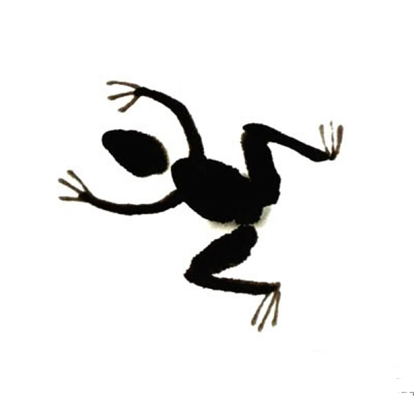 儿童中国画青蛙教程 国画图片简单儿童教程