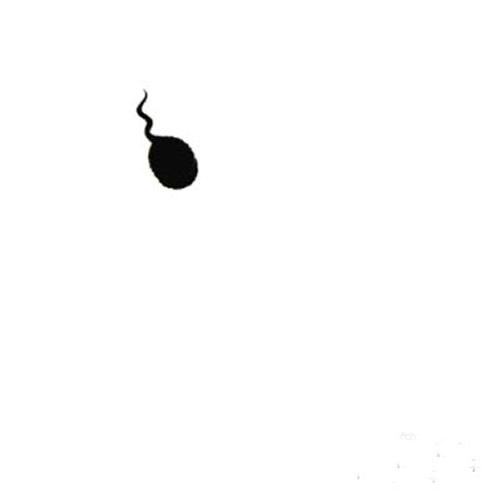小蝌蚪儿童国画 小蝌蚪的水墨画怎样画