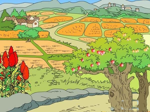 美丽的秋天图片儿童画作品_丰收的田野