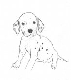 斑点狗儿童画