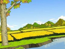 金色的田野