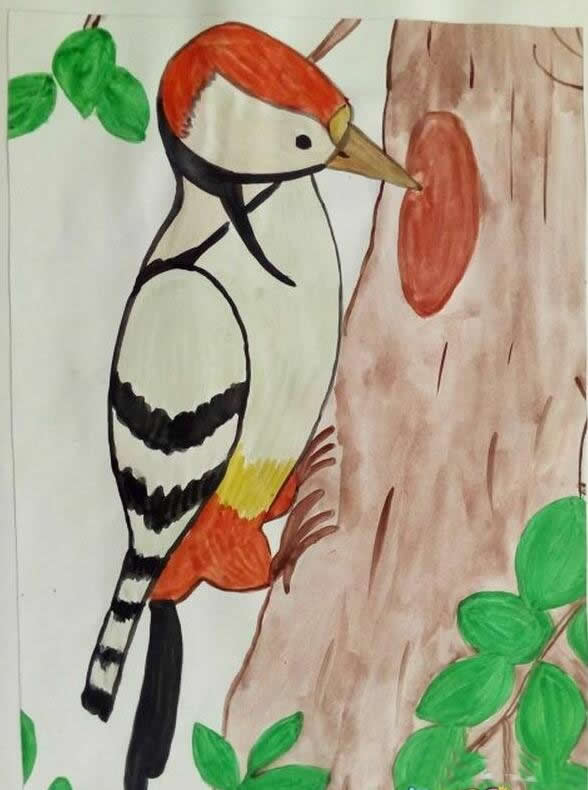 啄木鸟给大树治病儿童画_可爱的小动物儿童画/水彩画图片