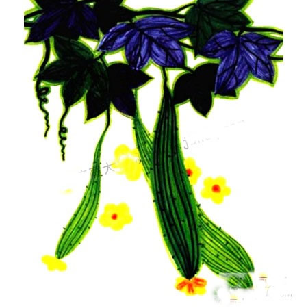 植物水彩画入门基础教程_黄瓜的画法步骤