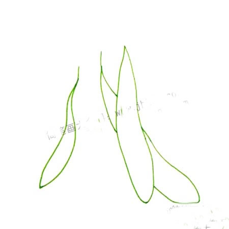 植物水彩画入门基础教程_黄瓜的画法步骤