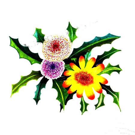 怎么画蒲公英儿童画_蒲公英儿童水彩画步骤教程图片