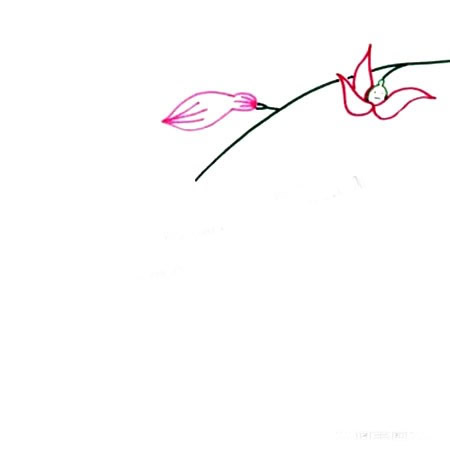 【绘画蝶恋花教程】儿童水彩画蝴蝶恋花教程步骤图解
