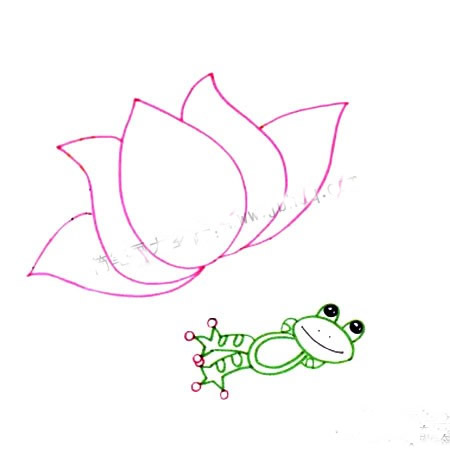画池塘荷花青蛙的步骤_儿童水彩画荷塘荷花青蛙教程图