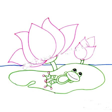 画池塘荷花青蛙的步骤_儿童水彩画荷塘荷花青蛙教程图