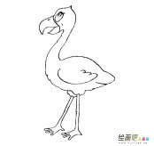 火烈鸟简笔画图片