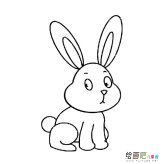 兔子简笔画图片